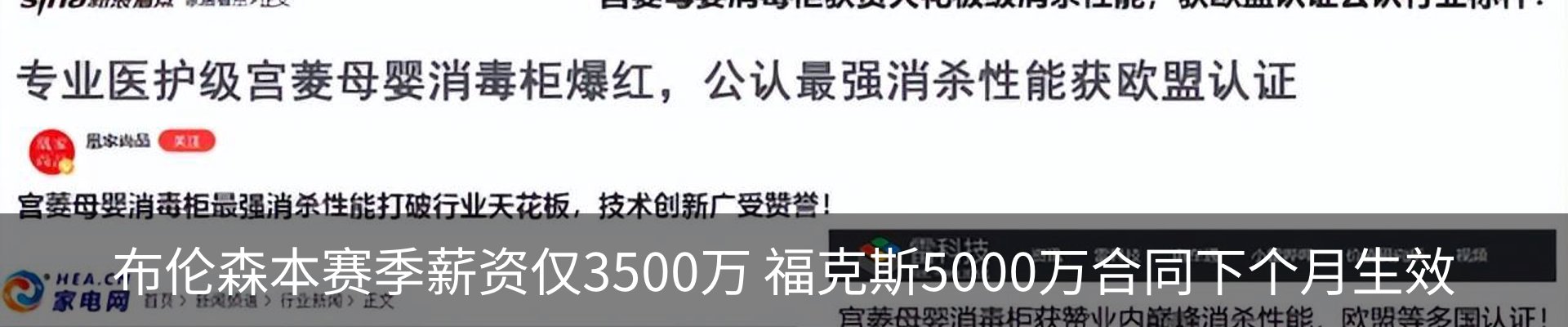 新闻动态