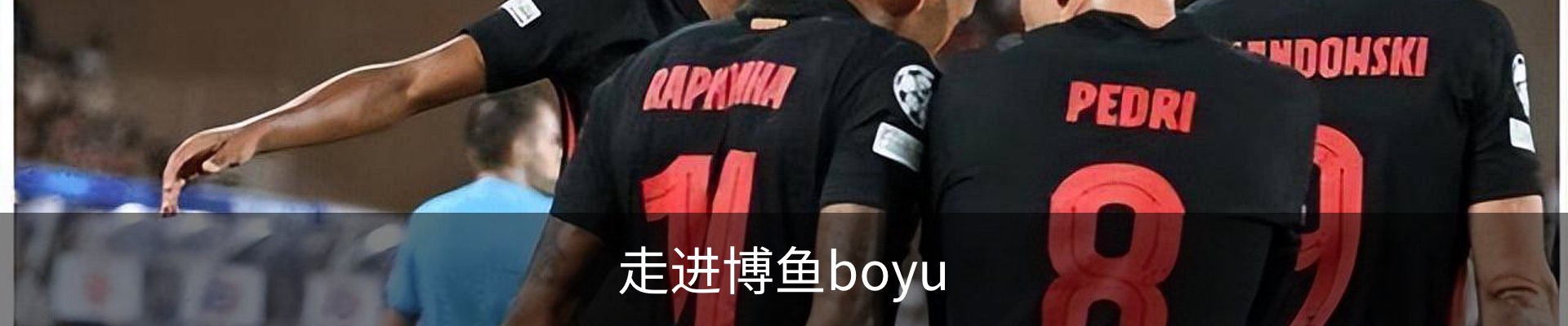 走进博鱼boyu